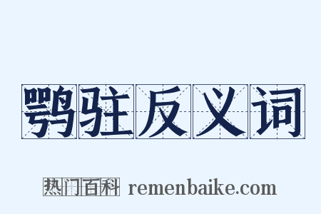 鹗驻反义词是什么意思的图片
